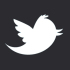 twitter-white-on-black-cube
