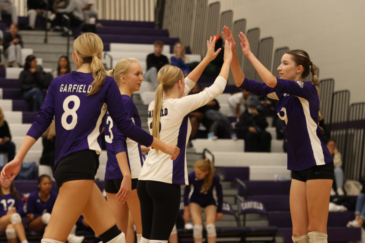 Volleydawg's Secret to Success
