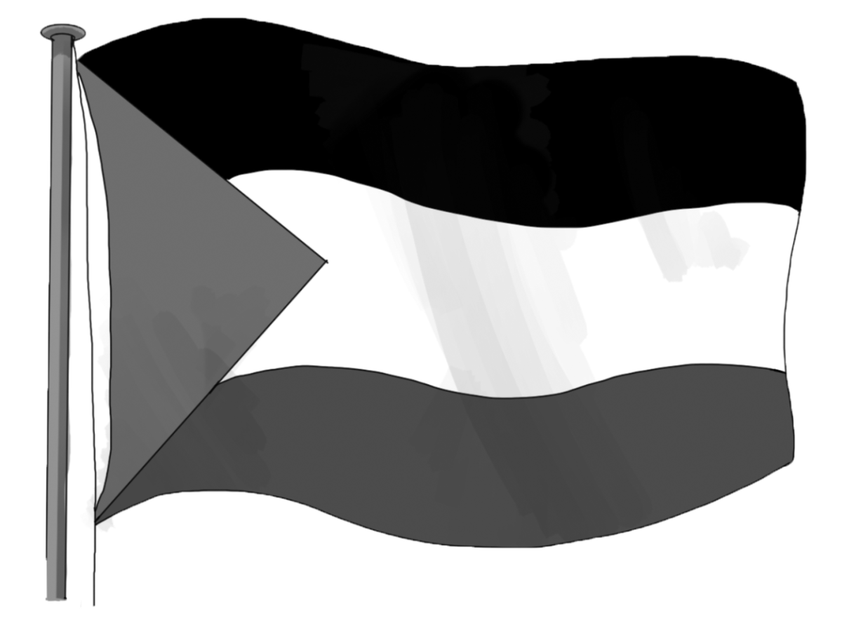 palestinian flag greyscale