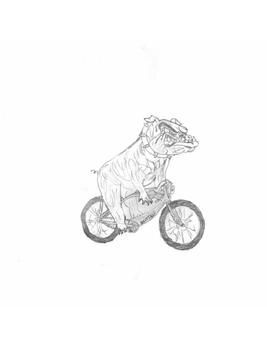 Bulldogs Who Bike