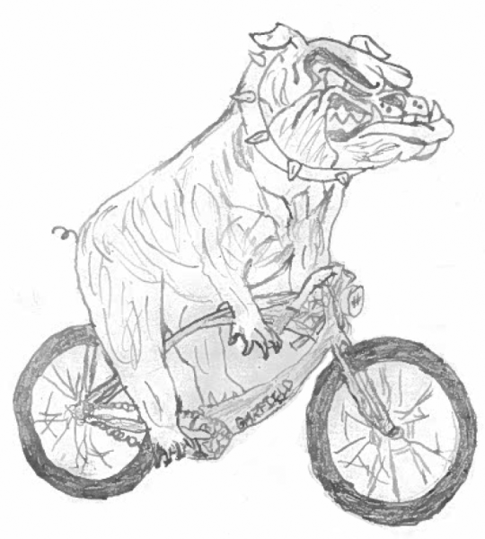 Bulldogs Who Bike