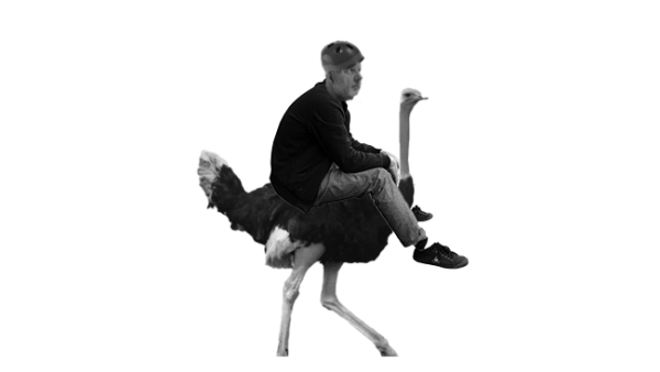 Graphic by Joshua Miovic